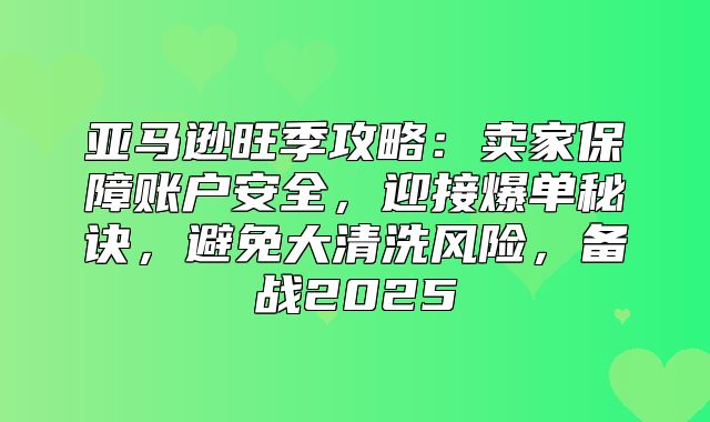 亚马逊旺季攻略：卖家保障账户安全，迎接爆单秘诀，避免大清洗风险，备战2025