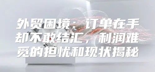 外贸困境：订单在手却不敢结汇，利润难觅的担忧和现状揭秘