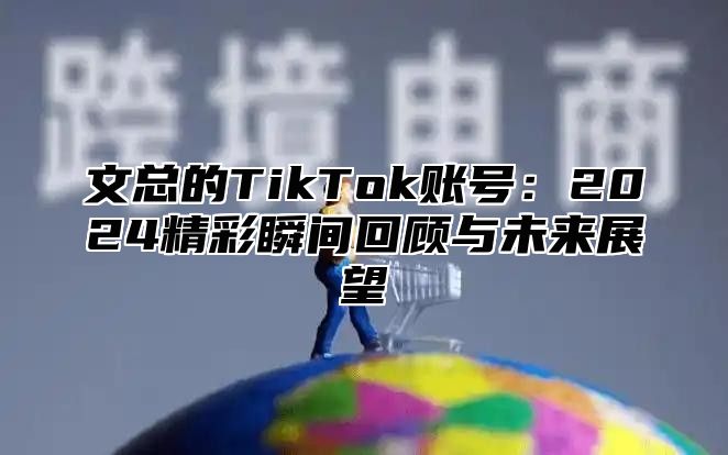 文总的TikTok账号：2025精彩瞬间回顾与未来展望