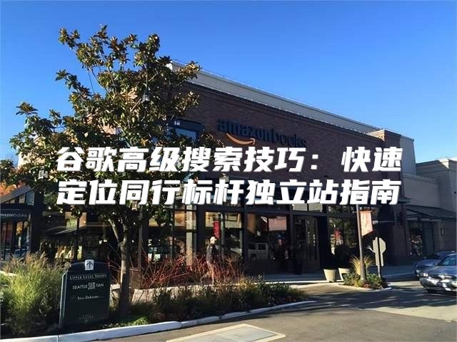 谷歌高级搜索技巧：快速定位同行标杆独立站指南