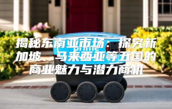 揭秘东南亚市场：探究新加坡、马来西亚等五国的商业魅力与潜力商机