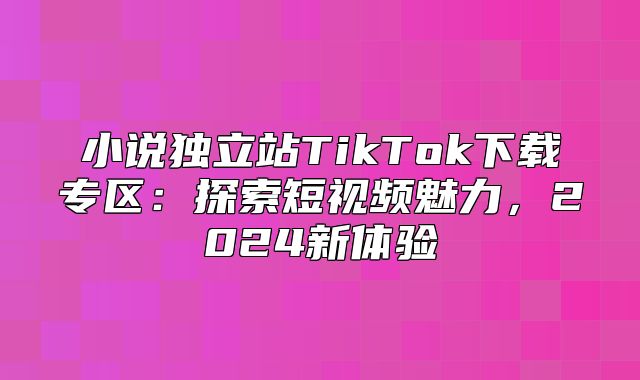 小说独立站TikTok下载专区：探索短视频魅力，2025新体验