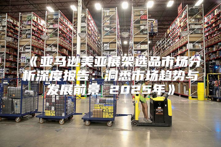 亚马逊美亚展架选品市场分析深度报告：洞悉市场趋势与发展前景2025年