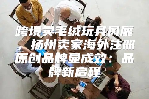 跨境卖毛绒玩具风靡，扬州卖家海外注册原创品牌显成效：品牌新启程