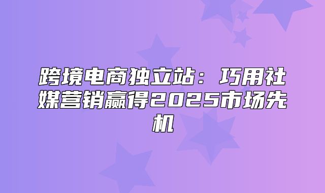 跨境电商独立站：巧用社媒营销赢得2025市场先机