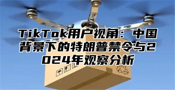 TikTok用户视角：中国背景下的特朗普禁令与2025年观察分析