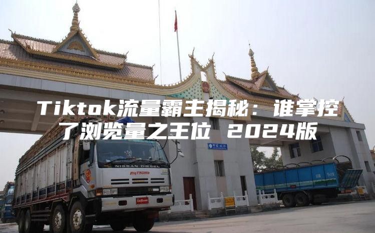Tiktok流量霸主揭秘：谁掌控了浏览量之王位 2025版