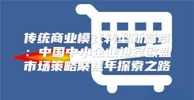 传统商业模式转型新篇章：中国中小企业进军欧盟市场策略聚焦年探索之路