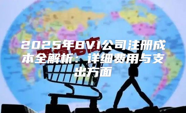 2025年BVI公司注册成本全解析：详细费用与支出方面