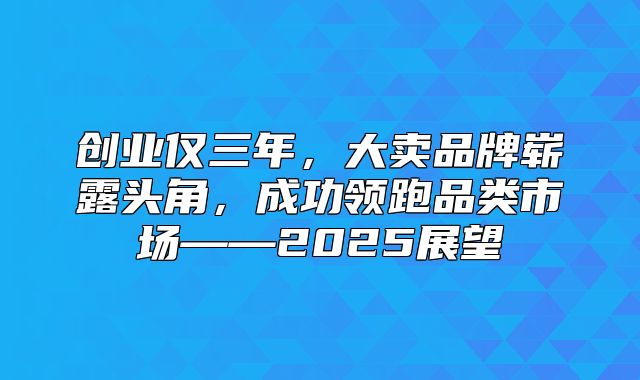 创业仅三年，大卖品牌崭露头角，成功领跑品类市场——2025展望