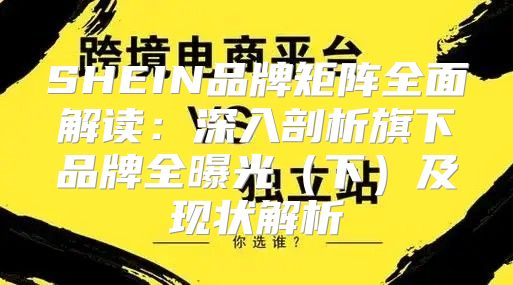 SHEIN品牌矩阵全面解读：深入剖析旗下品牌全曝光下及现状解析