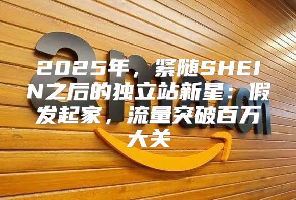 2025年，紧随SHEIN之后的独立站新星：假发起家，流量突破百万大关