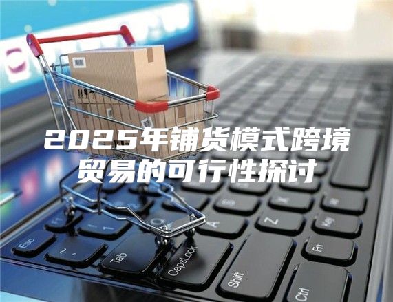 2025年铺货模式跨境贸易的可行性探讨
