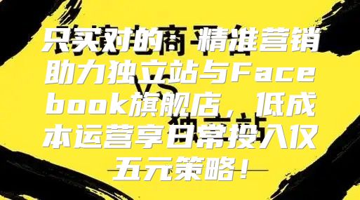 只买对的：精准营销助力独立站与Facebook旗舰店，低成本运营享日常投入仅五元策略！