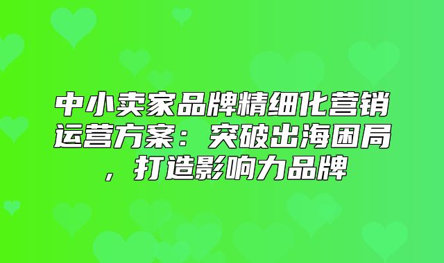 中小卖家品牌精细化营销运营方案：突破出海困局，打造影响力品牌
