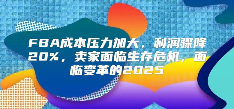 FBA成本压力加大，利润骤降20%，卖家面临生存危机，面临变革的2025