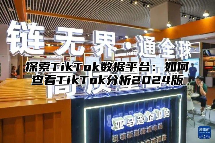 探索TikTok数据平台：如何查看TikTok分析2025版