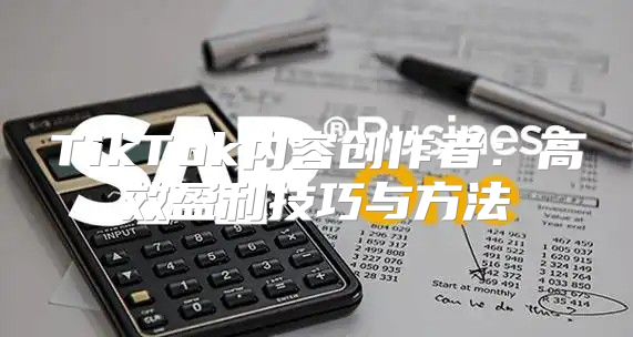 TikTok内容创作者：高效盈利技巧与方法