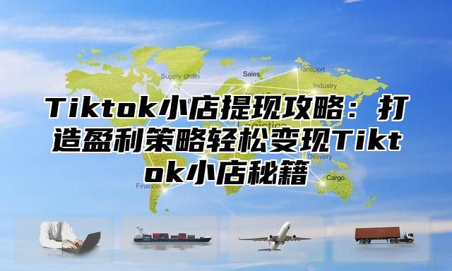 Tiktok小店提现攻略：打造盈利策略轻松变现Tiktok小店秘籍