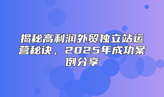揭秘高利润外贸独立站运营秘诀，2025年成功案例分享