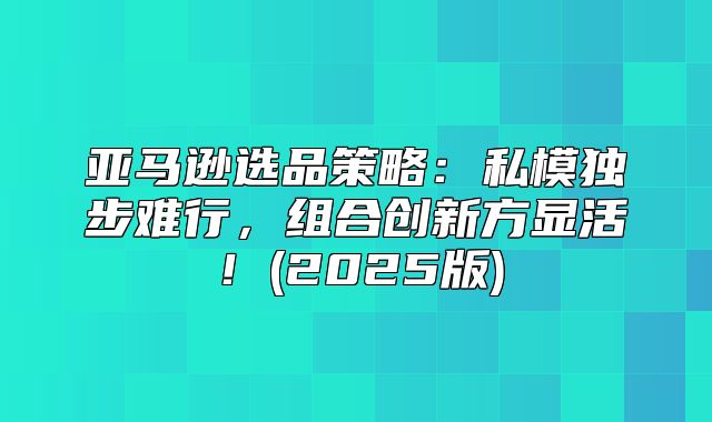 亚马逊选品策略：私模独步难行，组合创新方显活！(2025版)