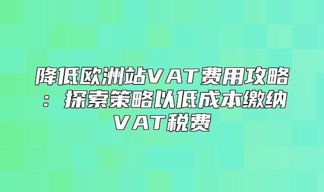 降低欧洲站VAT费用攻略：探索策略以低成本缴纳VAT税费