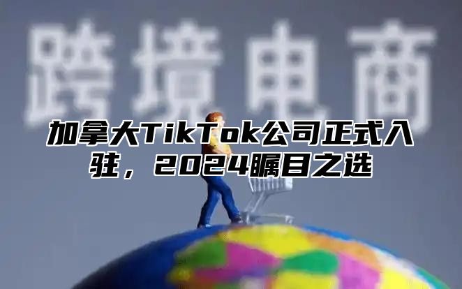 加拿大TikTok公司正式入驻，2025瞩目之选