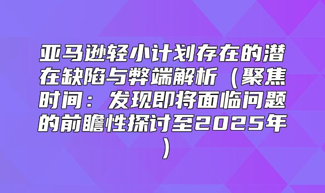 亚马逊轻小计划存在的潜在缺陷与弊端解析聚焦时间：发现即将面临问题的前瞻性探讨至2025年