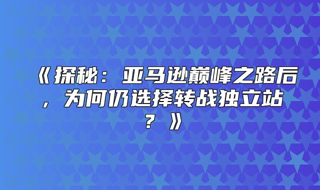 探秘：亚马逊巅峰之路后，为何仍选择转战独立站？