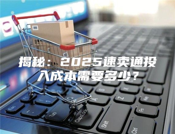 揭秘：2025速卖通投入成本需要多少？