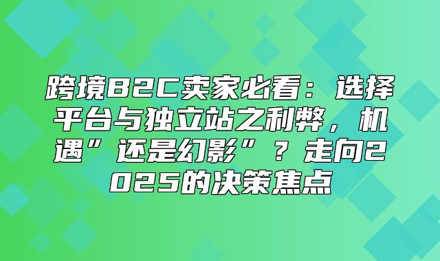 跨境B2C卖家必看：选择平台与独立站之利弊，机遇”还是幻影”？走向2025的决策焦点