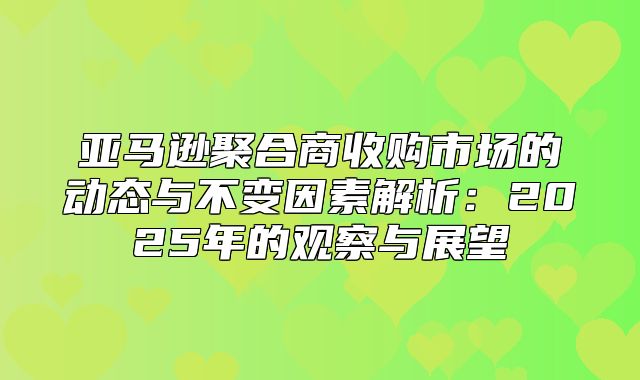 亚马逊聚合商收购市场的动态与不变因素解析：2025年的观察与展望