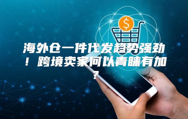 海外仓一件代发趋势强劲！跨境卖家何以青睐有加？
