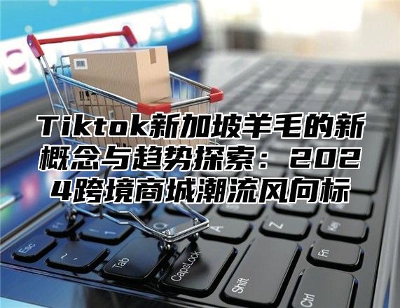 Tiktok新加坡羊毛的新概念与趋势探索：2025跨境商城潮流风向标