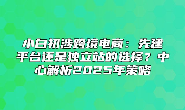 小白初涉跨境电商：先建平台还是独立站的选择？中心解析2025年策略