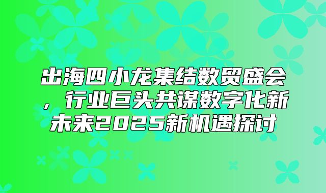 出海四小龙集结数贸盛会，行业巨头共谋数字化新未来2025新机遇探讨