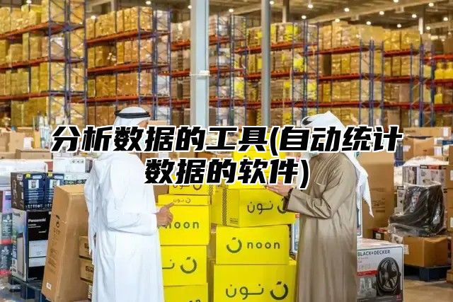分析数据的工具(自动统计数据的软件)