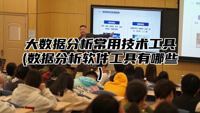 大数据分析常用技术工具(数据分析软件工具有哪些)