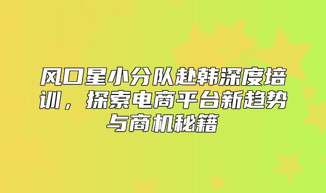风口星小分队赴韩深度培训，探索电商平台新趋势与商机秘籍