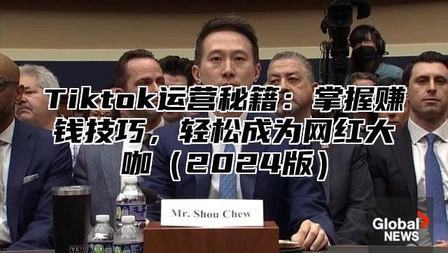 Tiktok运营秘籍：掌握赚钱技巧，轻松成为网红大咖2025版