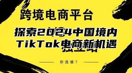 探索2025中国境内TikTok电商新机遇