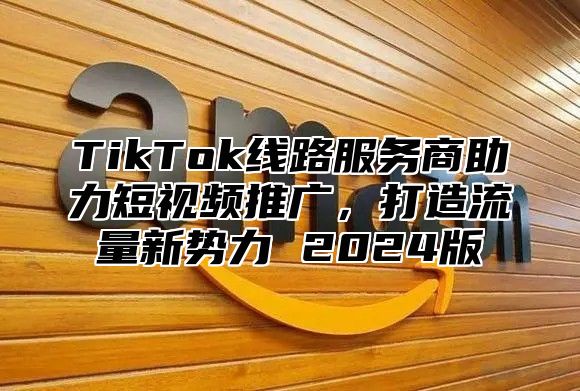 TikTok线路服务商助力短视频推广，打造流量新势力 2025版