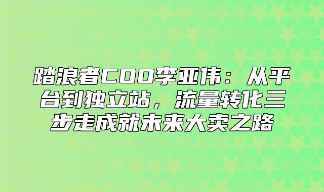 踏浪者COO李亚伟：从平台到独立站，流量转化三步走成就未来大卖之路