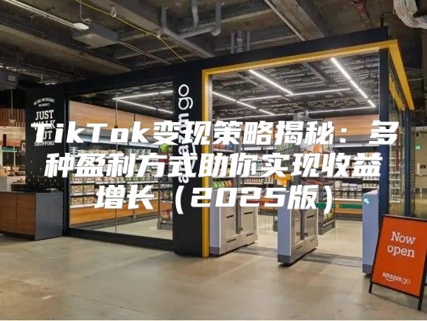 TikTok变现策略揭秘：多种盈利方式助你实现收益增长2025版
