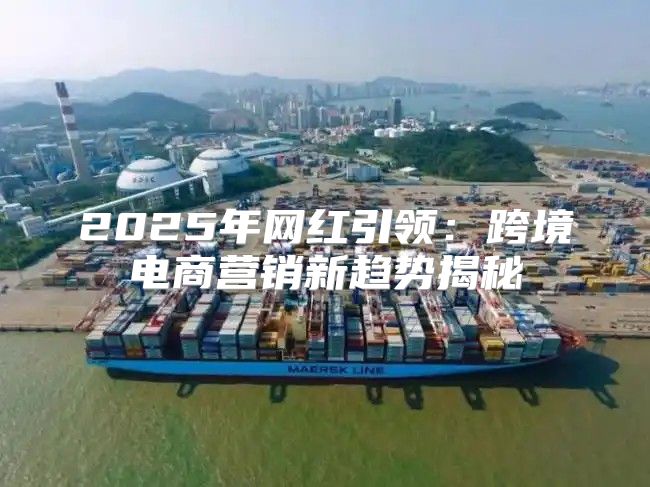 2025年网红引领：跨境电商营销新趋势揭秘