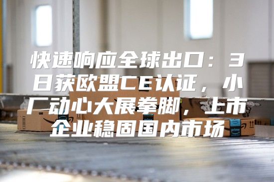 快速响应全球出口：3日获欧盟CE认证，小厂动心大展拳脚，上市企业稳固国内市场