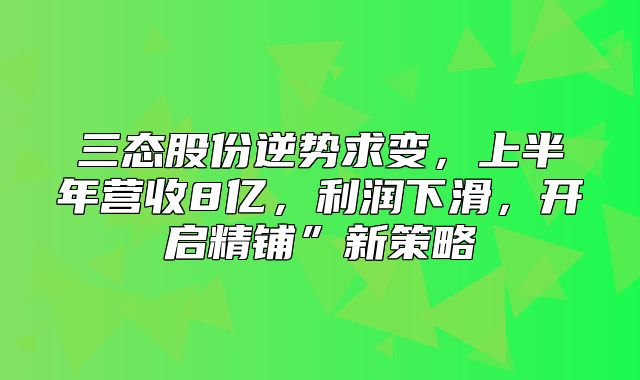 三态股份逆势求变，上半年营收8亿，利润下滑，开启精铺”新策略