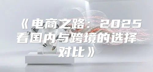 电商之路：2025看国内与跨境的选择对比