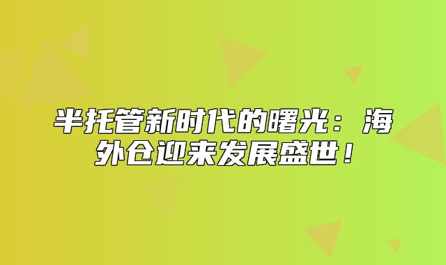 半托管新时代的曙光：海外仓迎来发展盛世！