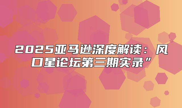 2025亚马逊深度解读：风口星论坛第三期实录”